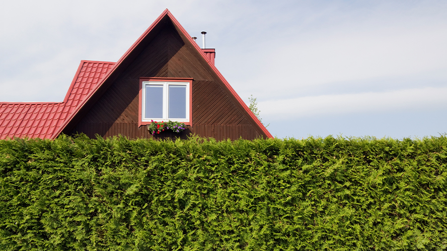 Will Mortgage Rates Go Down in 2025?